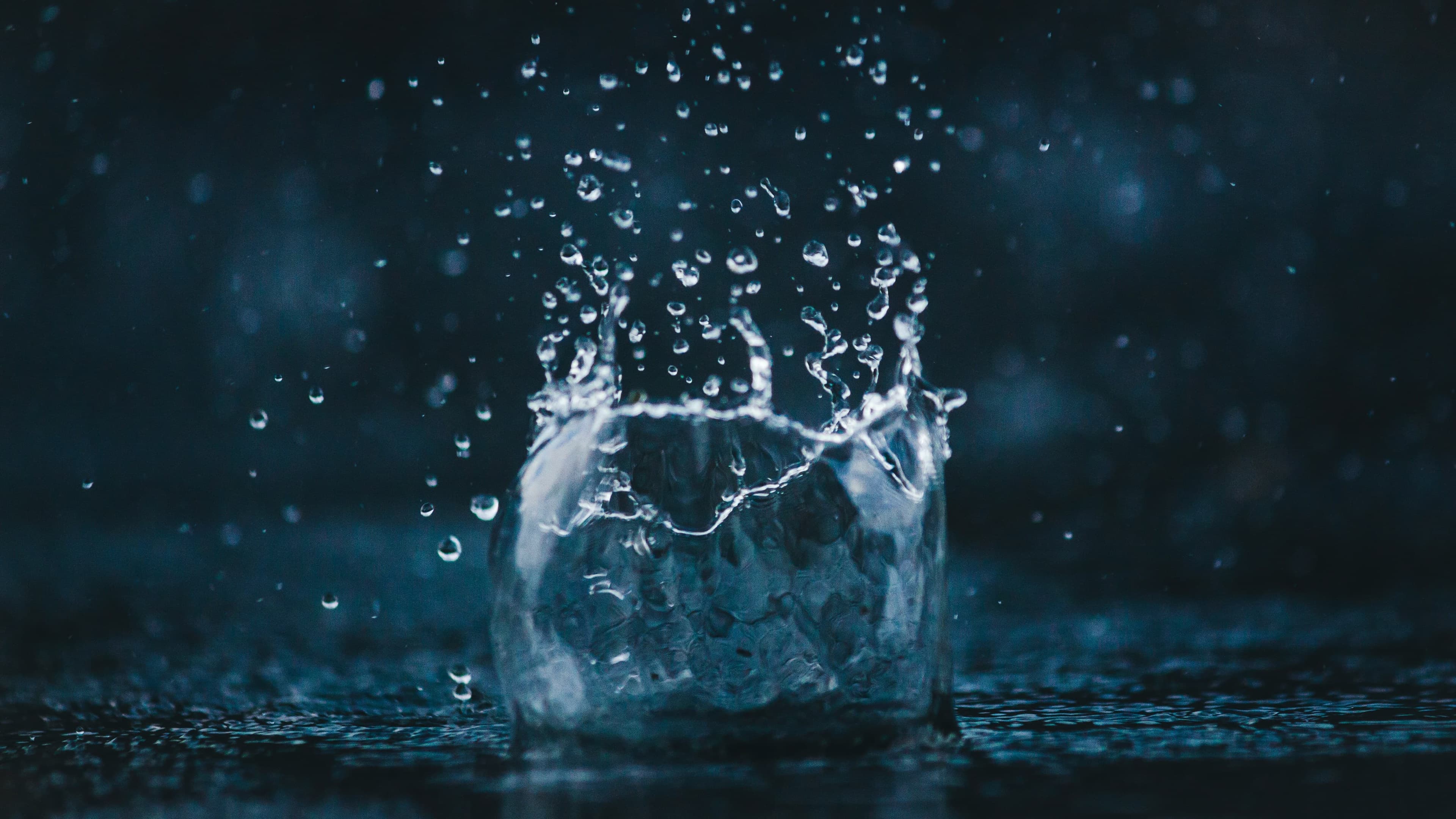 コーヒーの味は「水」で決まる?硬度とアルカリ度の科学を、ロースターが解説